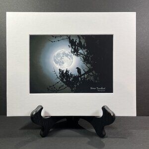 NEVERMORE Raven Silhouette Full Moon Photo 5 x 7 Matted 8 x 10 Signed COA